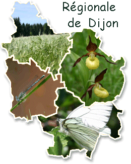 APBG Dijon